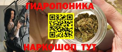 бошки Гай