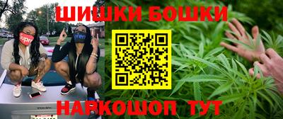 бошки Гай