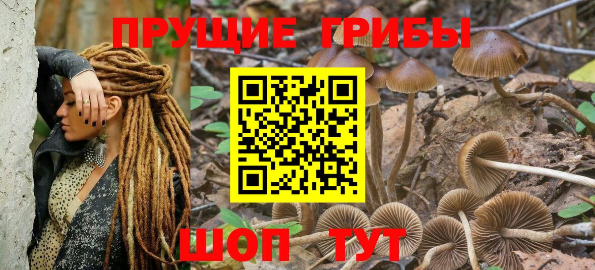 Псилоцибиновые грибы MAGIC MUSHROOMS Барнаул