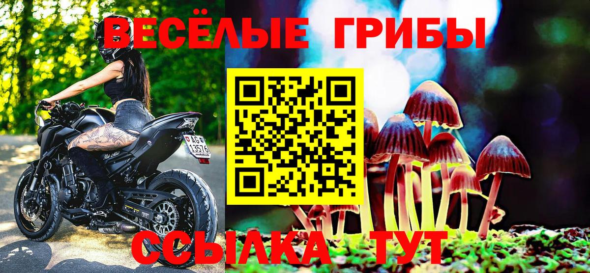 Галлюциногенные грибы GOLDEN TEACHER  Вход с VPN  Барнаул  Галлюциногенные грибы MAGIC MUSHROOMS 